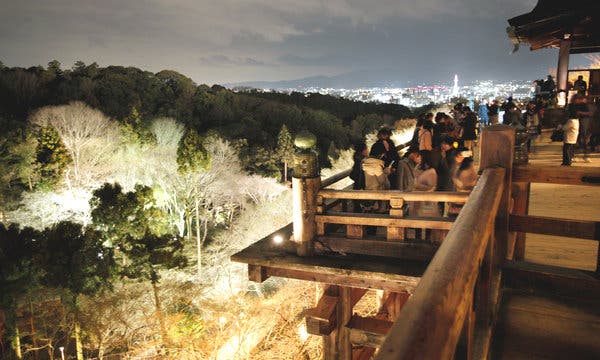 Reach Brightspring Health Com Login: Unlock the Power of Your Health Journey