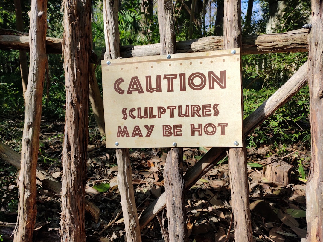 Should Schools Incorporate Social Media in Curriculum?