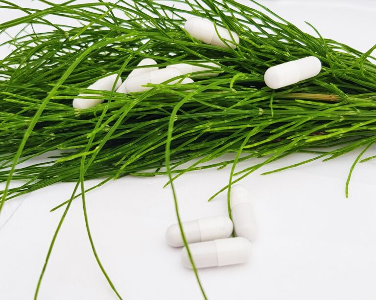 5 Reasons why Chlorophyll Help in Nutritional Deficiency?