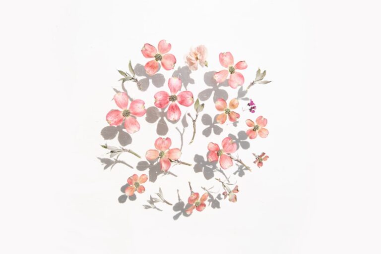 Outrageously Gaudy Hats: Making a Statement with Style