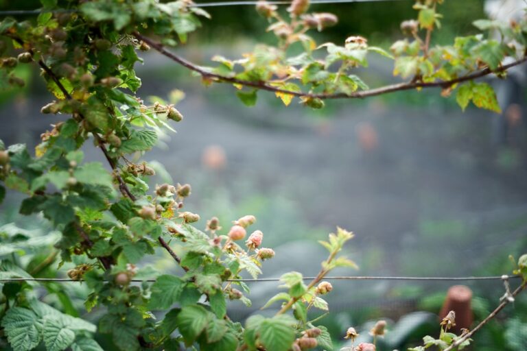 Anastasia Crunk Bares All in Nude Photoshoot