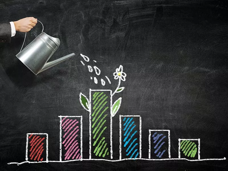 How to evaluate mutual fund performance: Key metrics to consider