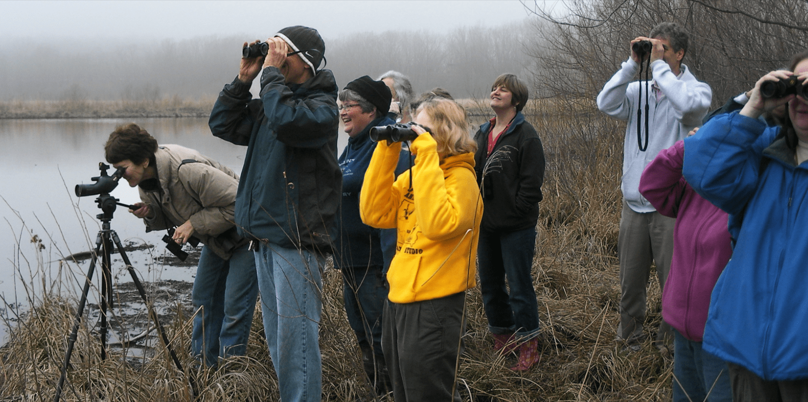 The Best Time to Visit Breiðdalsvík for Birdwatching