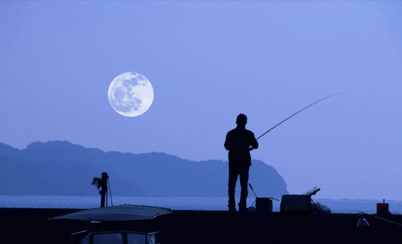 The Role of Lunar Tides in Planning Your Fishing Trips