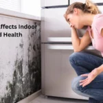 How Mold in Your Home Can Quietly Damage Indoor Air Quality and Health