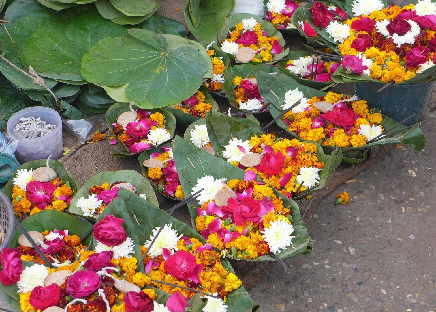 List Of Flowers Used In Indian Puja